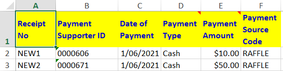 NewPaymentRaffle