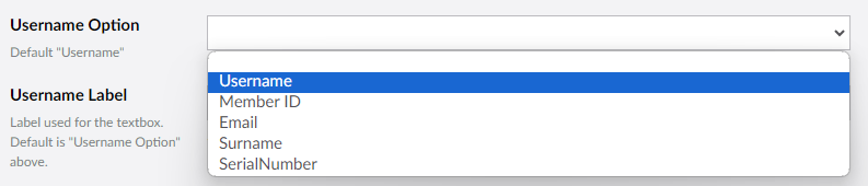 UsernameOptions
